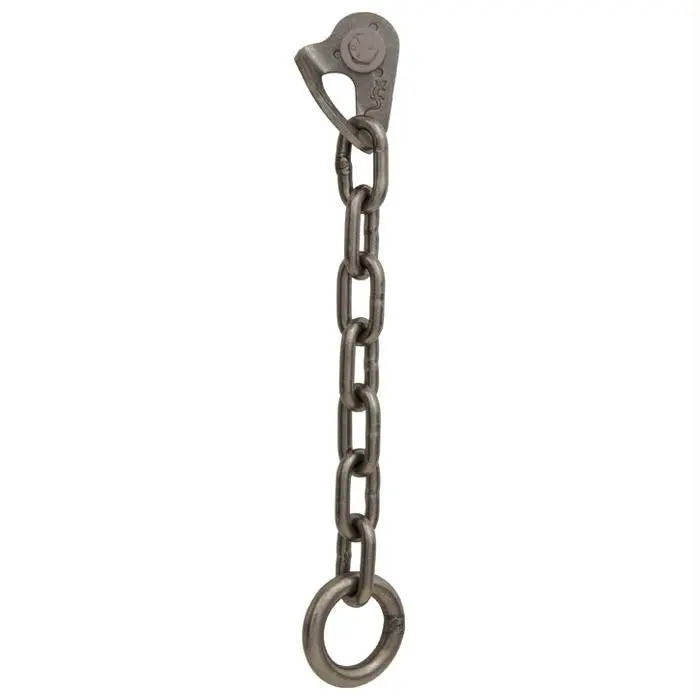 Chain Anchor 1 Hanger Ss 1