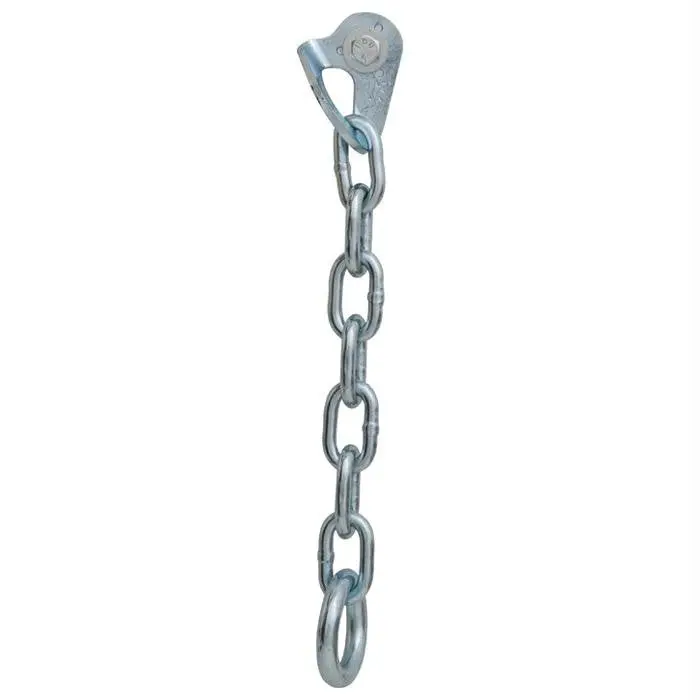 Chain Anchor 1 Hanger Ps 1