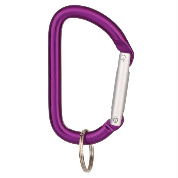 80 Mm Two Pin D Key Biner 1