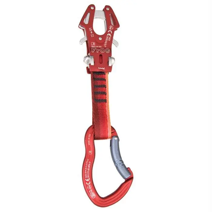 Express Frog 12Cm Qd 1
