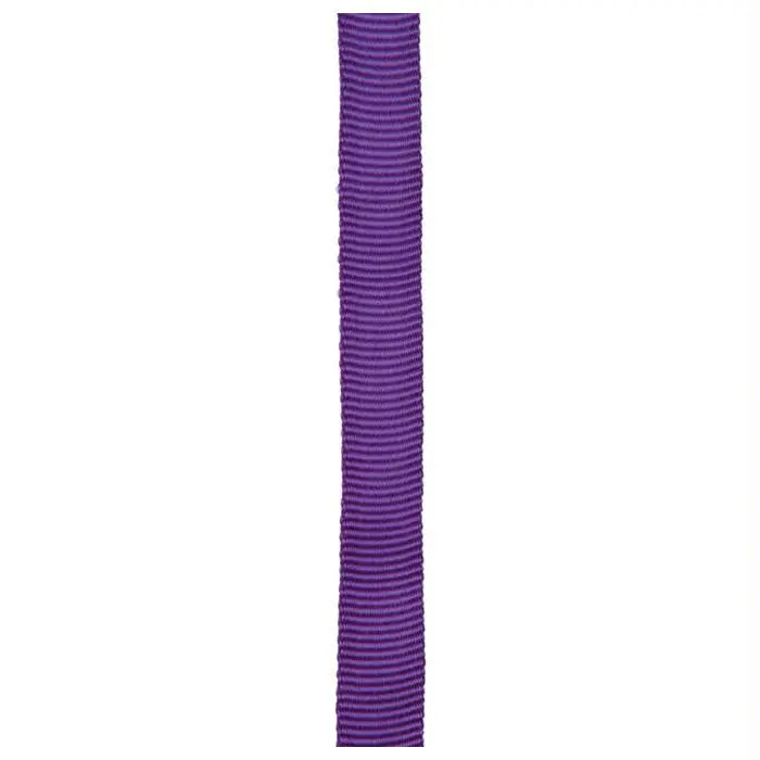 1"X300' Purple Tube Web 1