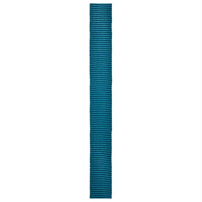 1"X300' Teal Tube Web 1