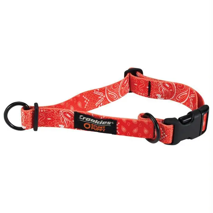 Dog Collar Red Bandana Lg 1