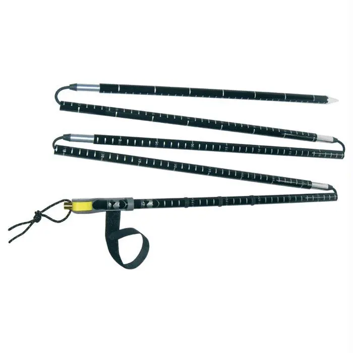 Pieps Carbon Tour 220Cm 1