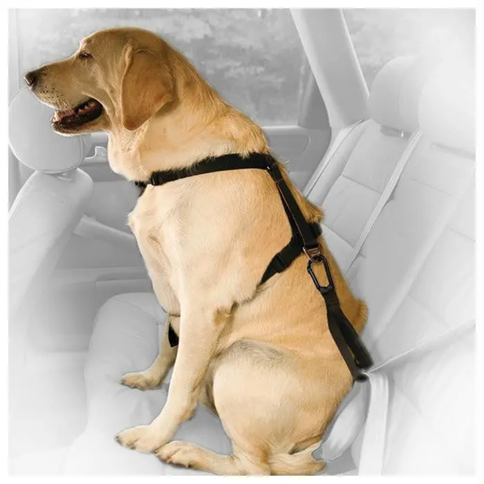 Kurgo Direct Seat Belt Tether 1