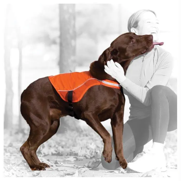 Reflect & Protect Dog Vest Md 1
