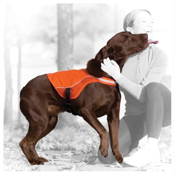 Reflect & Protect Dog Vest Lg 1