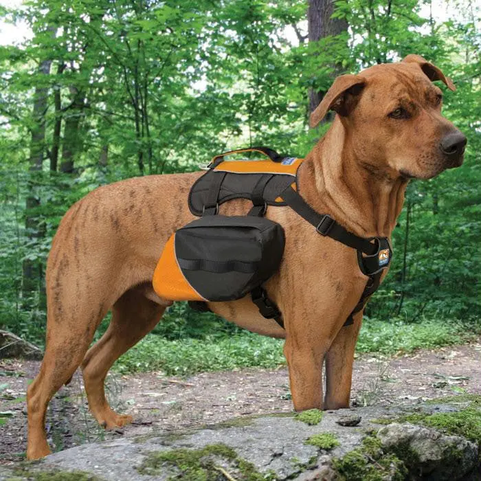 Kurgo Baxter Pack Blk-Orng 1