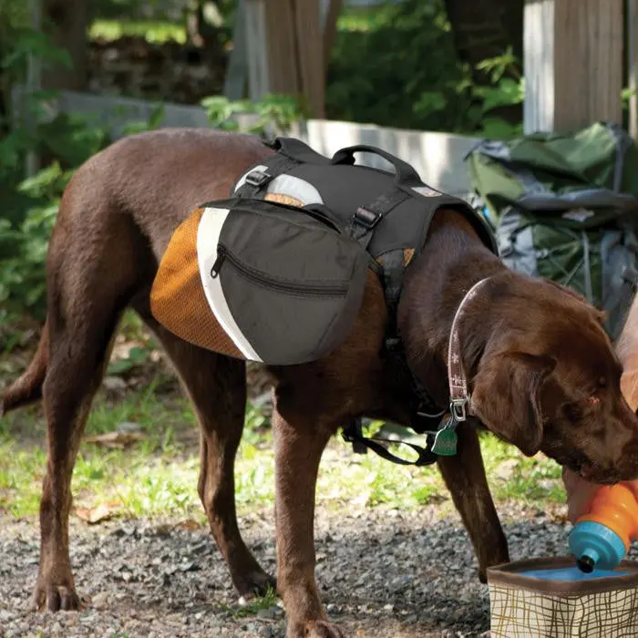 Kurgo Big Baxter Pack Blk-Orng 1