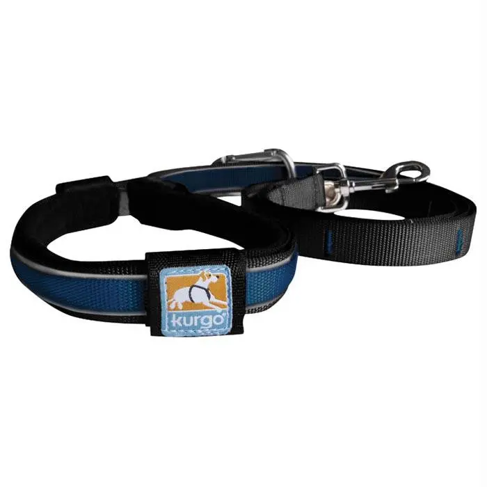 Reflect-Protect Leash Blue 1