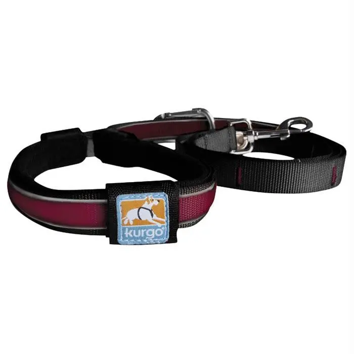 Reflect-Protect Leash Rasp 1