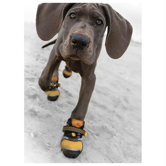 Kurgo Step&Strobe Dog Shoe Md 1