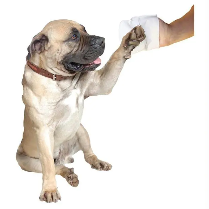 Canine Pawmitts 1