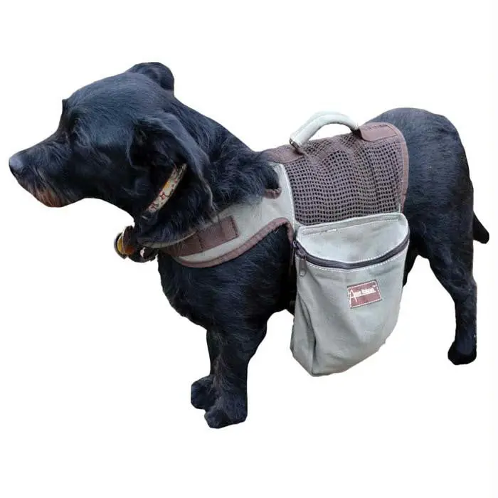 Backpack-Harness Small 1