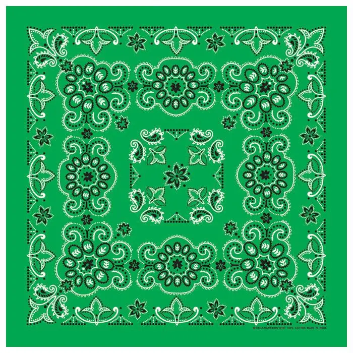 Texas Paisley Bandana Kelley 1