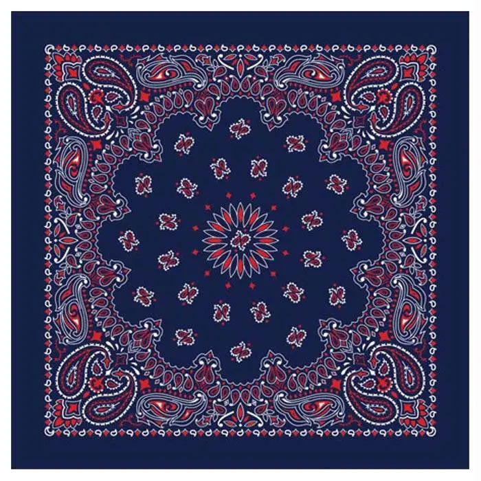Bandana Paisley Blue-Red 1