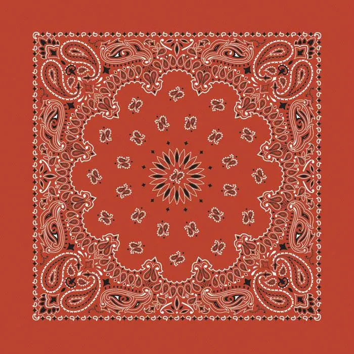 Bandana Paisley Terracotta 1