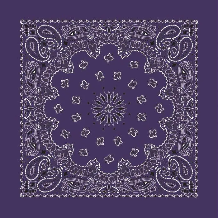 Bandana Paisley Plum 1