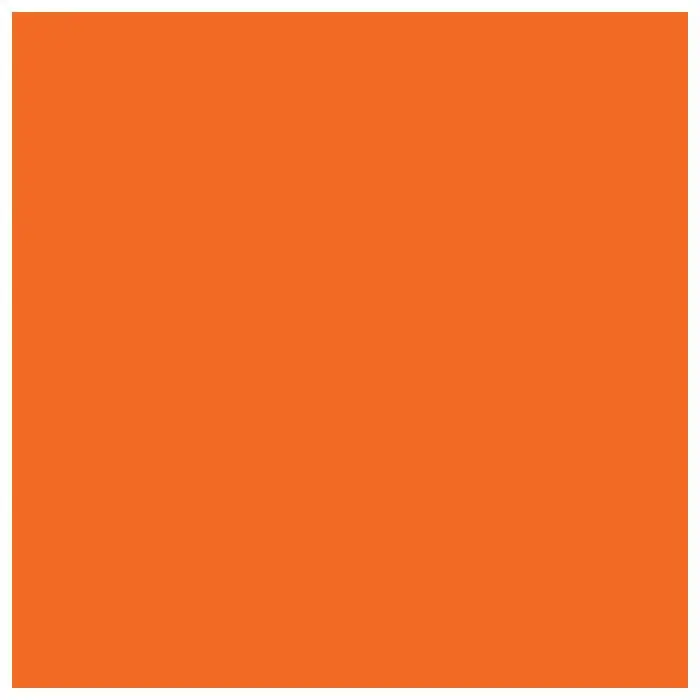 Bandana Neon Orange 1