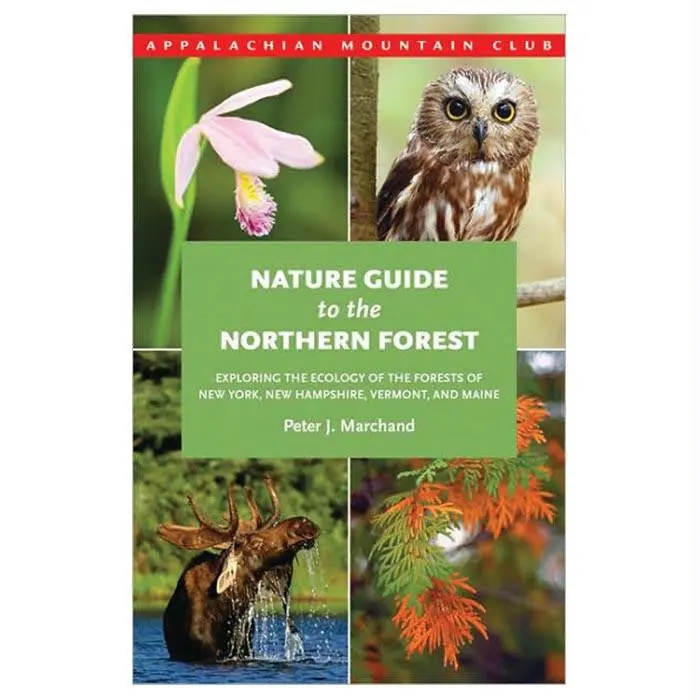 Amc Nature Gd To No Forest 1