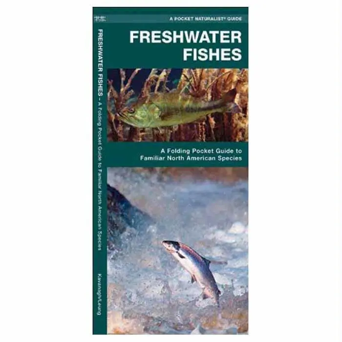Freshwater Fishes 1