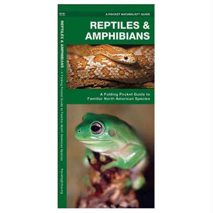 Reptiles-Amphibians 1