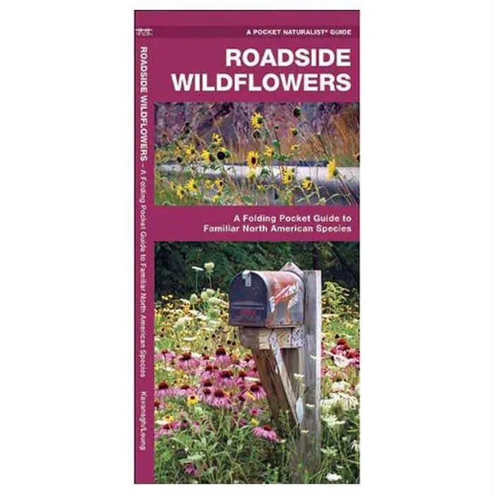 Roadside Wildflowers 1