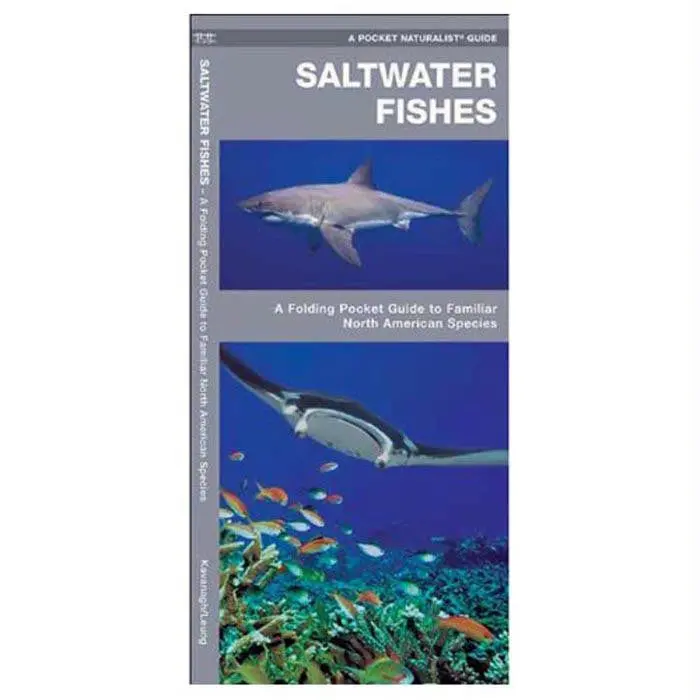 Saltwater Fishes 1