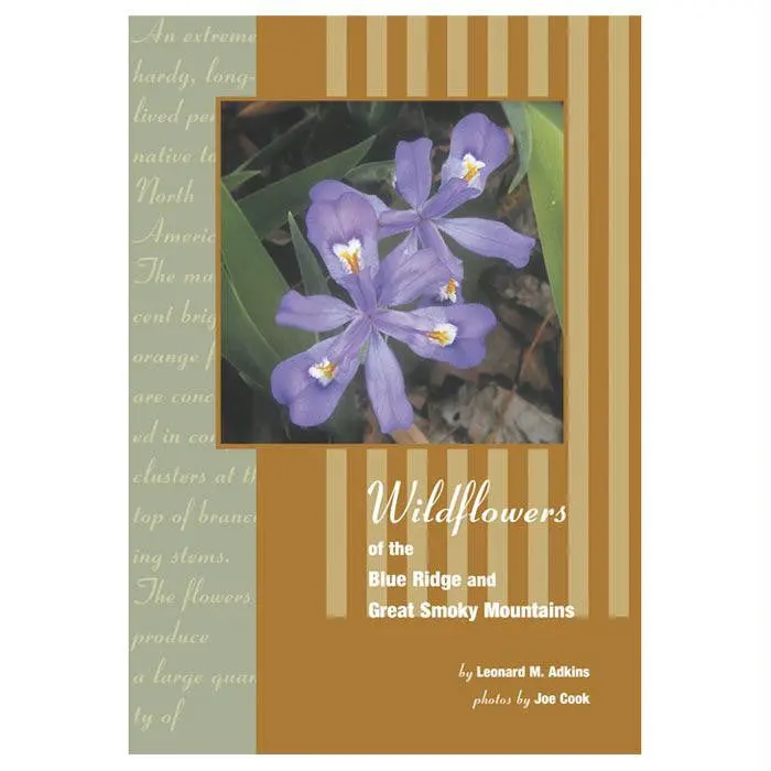 Wildflowers Blue Ridge Smoky M 1