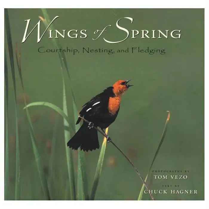 Wings Of Spring 1