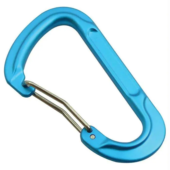 Forged D Carabiner Assort 1