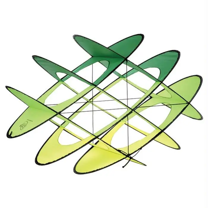 E06 Single Line Kite Citrus 1