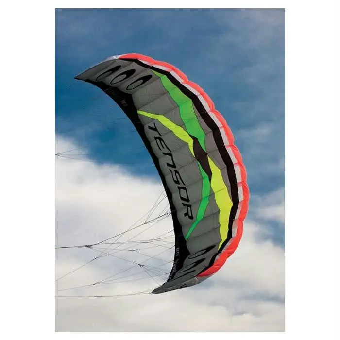 Tensor 5.0 Power Kite Silver 1