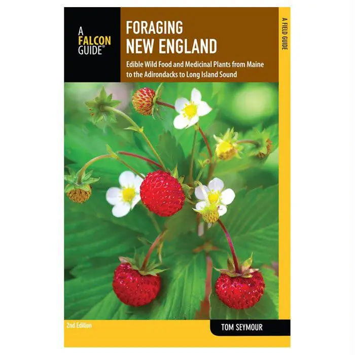 Foraging New England 1