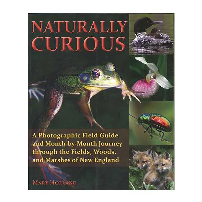 Naturally Curious 1