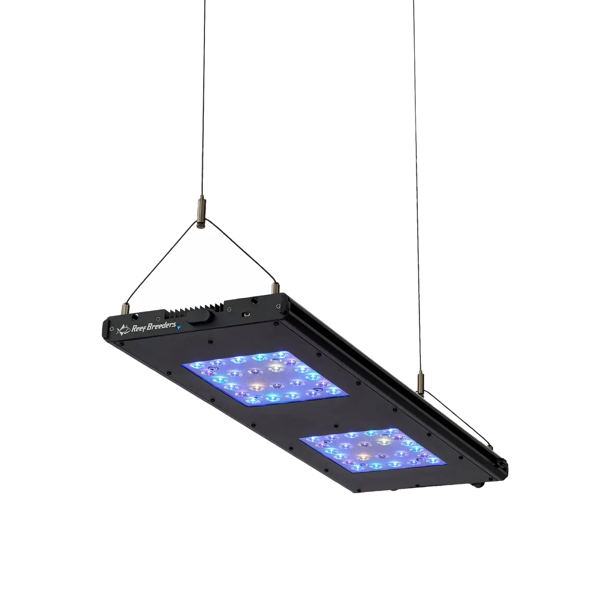 Meridian Hanging Wires 3
