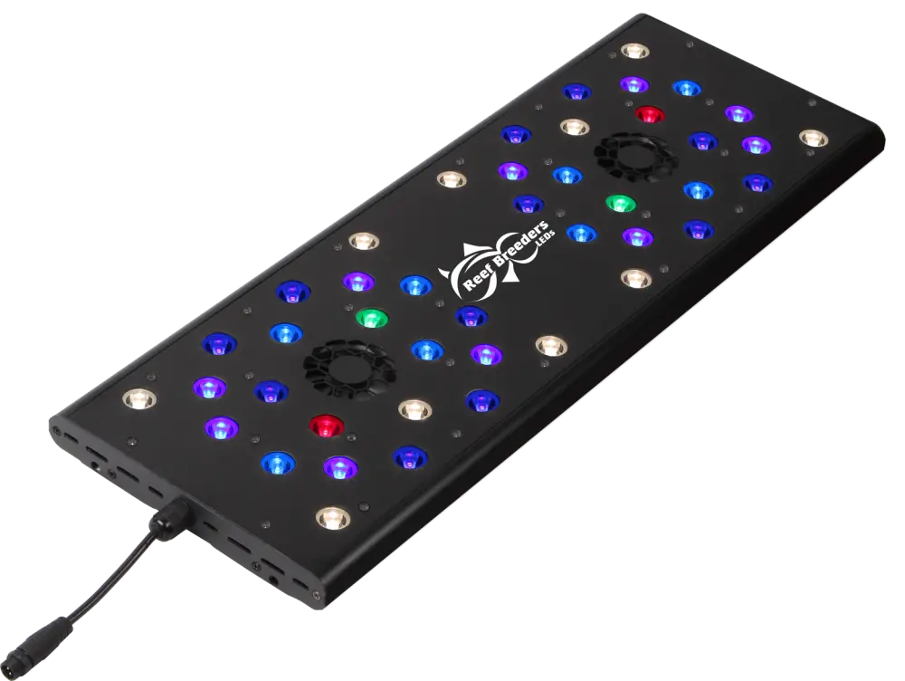 Photon 24-V2 Pro 1