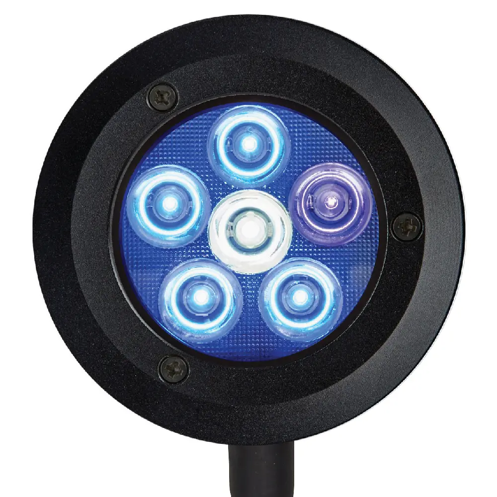 Reefbreeders Pico Led 1