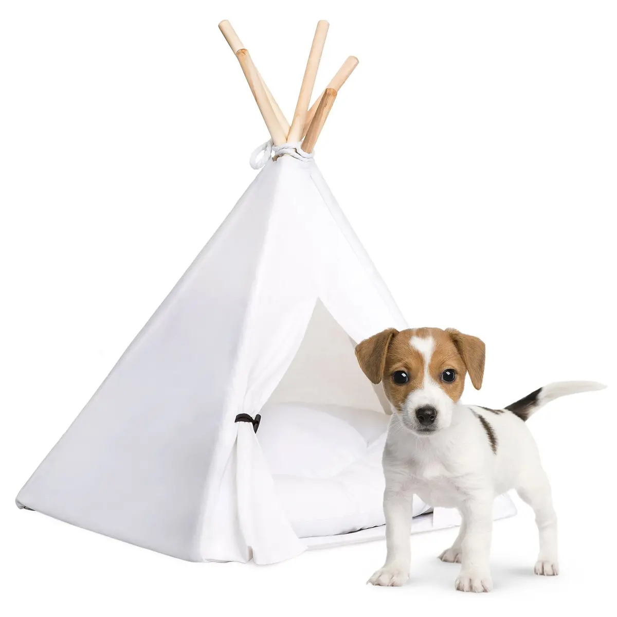 24In Pet Teepee W/ Cushion 1
